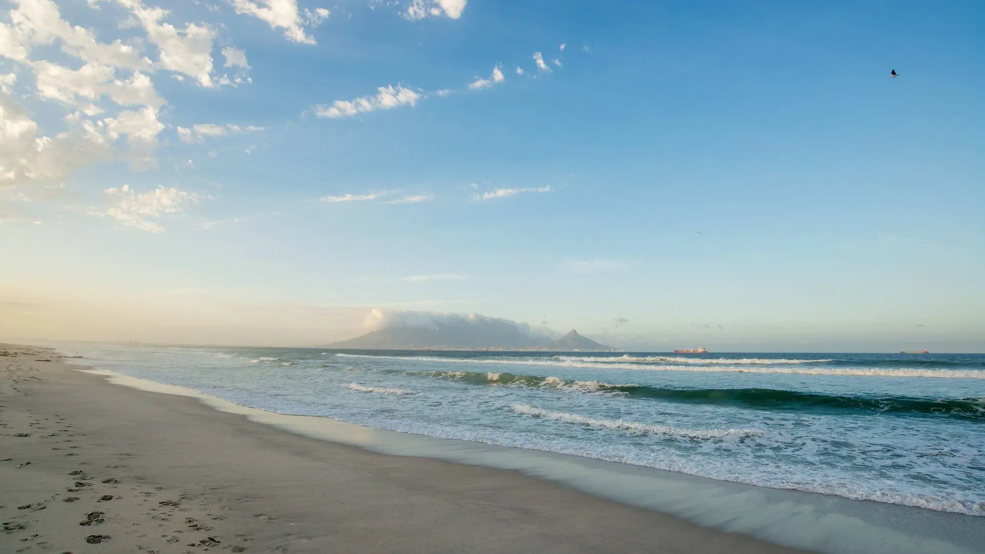 Ocean Shores Bloubergstrand Appartement